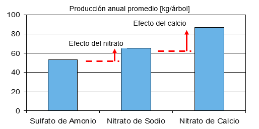 Gr&aacute;fica 1.png