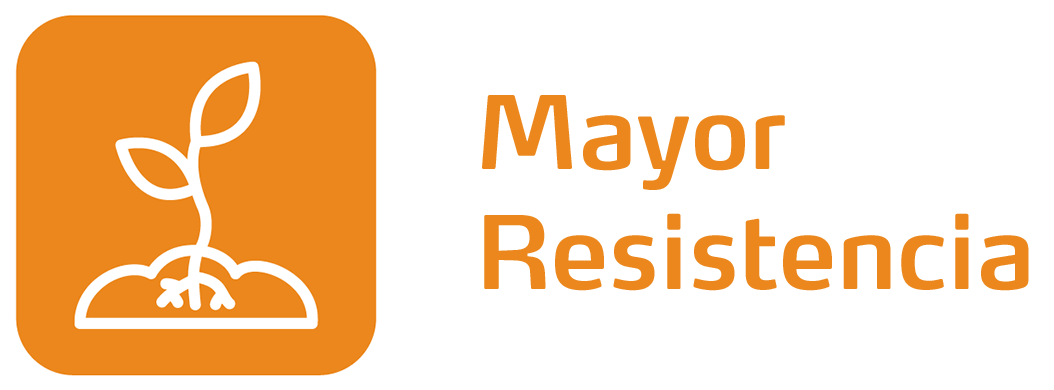 Mayor resistencia