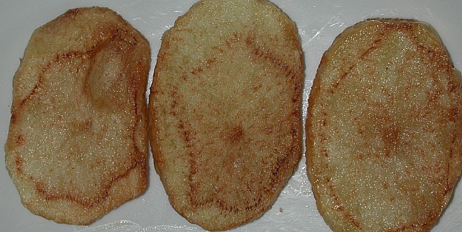 Exceso de N y alto contenido de azúcares reductores da color marrón a las papas fritas.