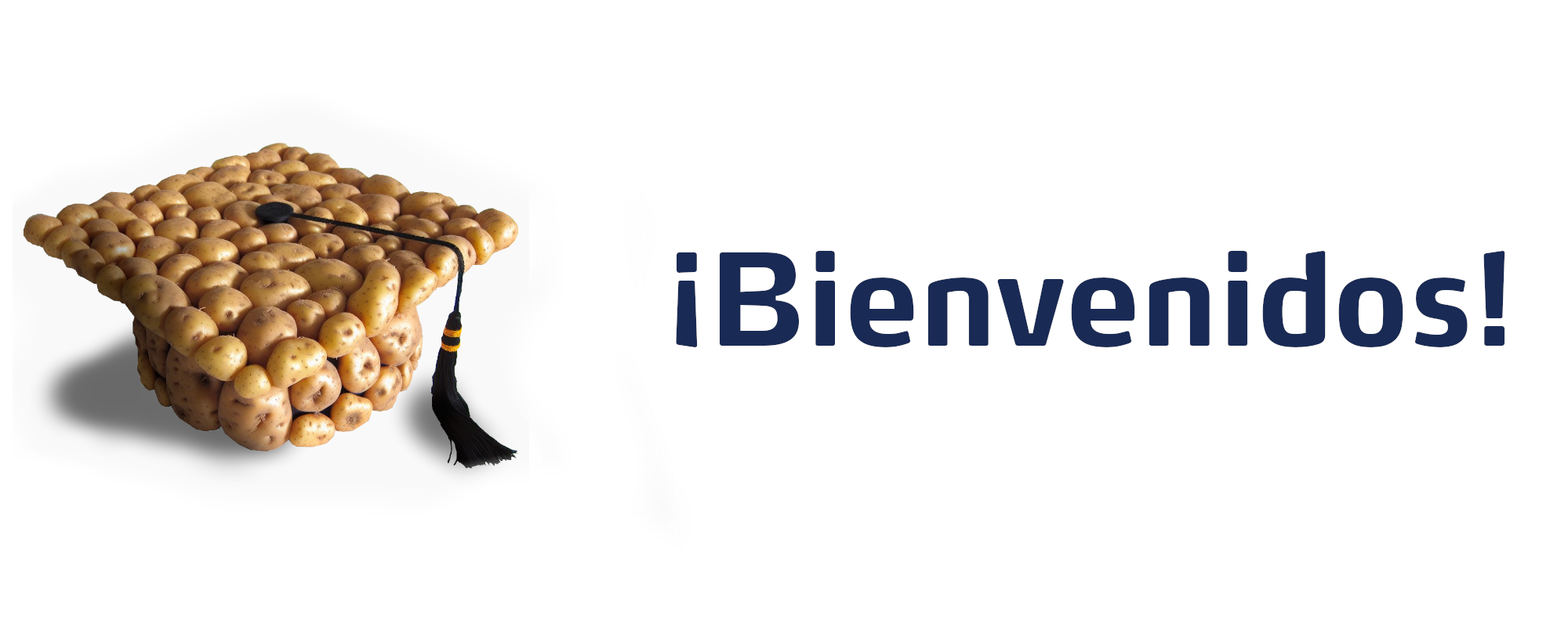 banner bienvenidos papa