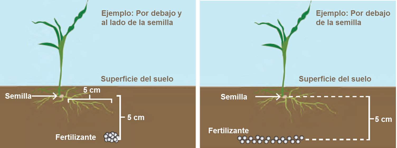 Colocación de fertilizantes