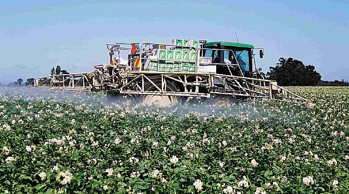 Aplicación foliar en papas