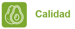 Calidad