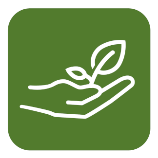 ïcono sostenibilidad