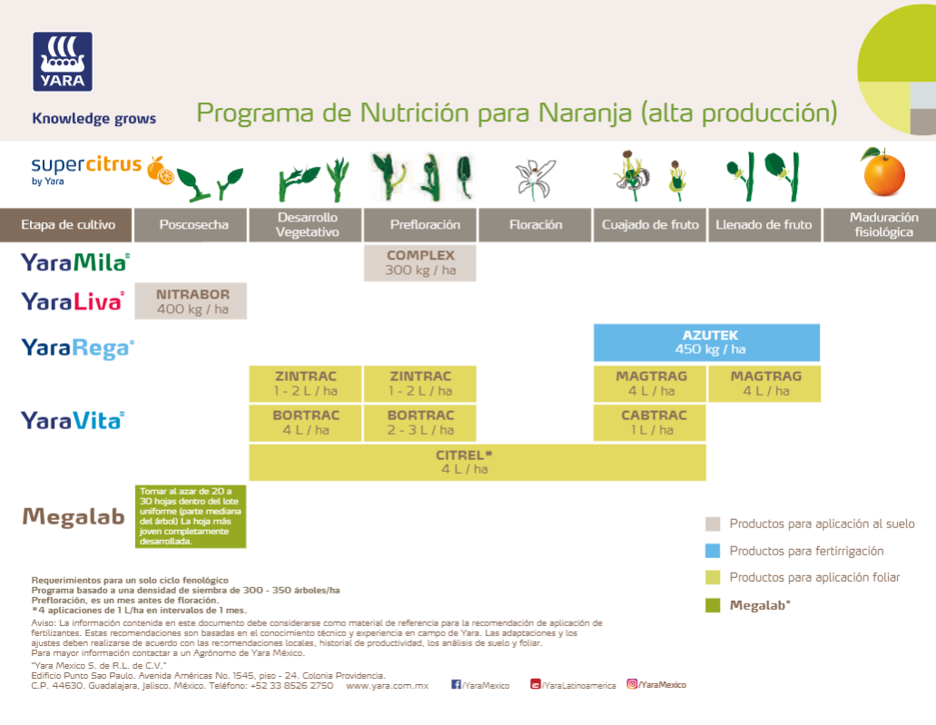 Programa de Nutrición Naranja