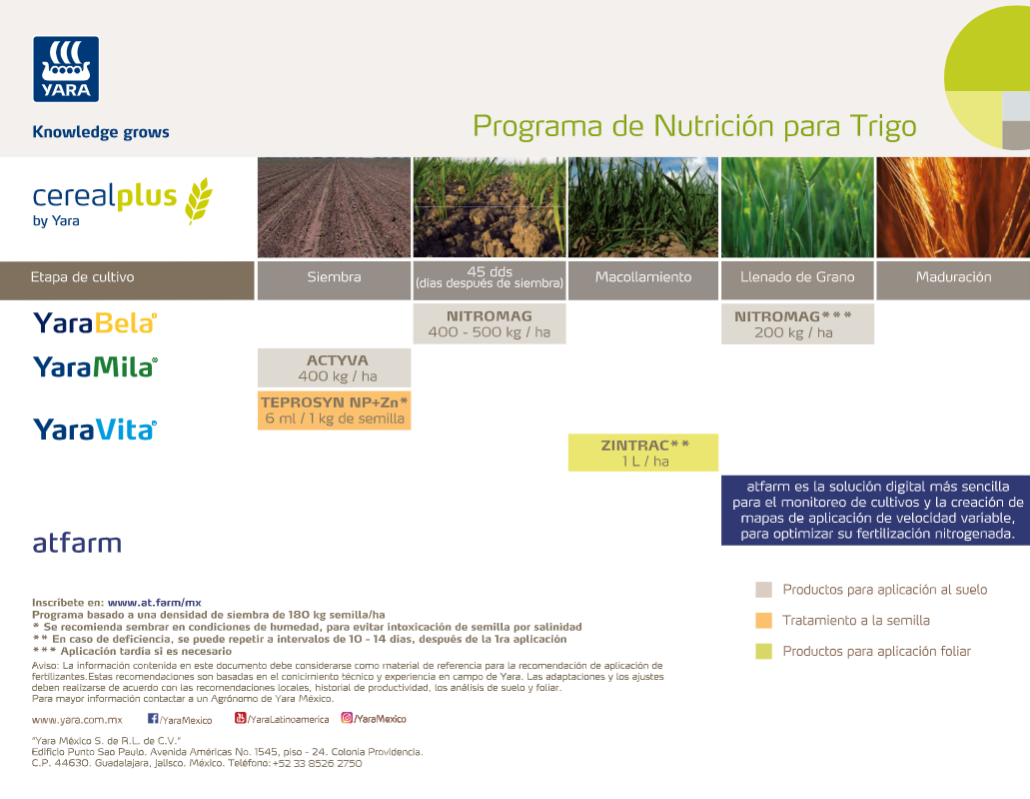 sistema nutricional trigo